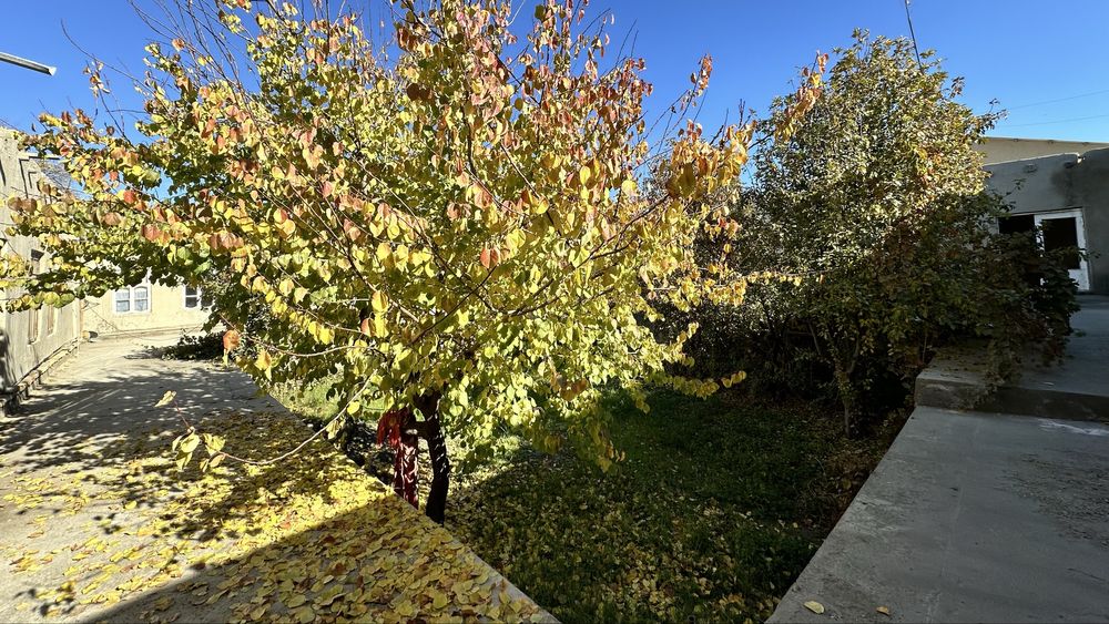 Участок, Ховли, Участка,