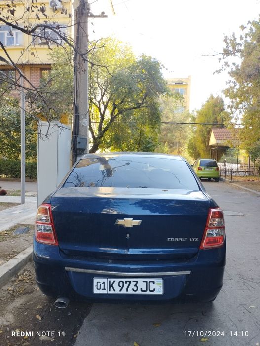 Cobalt 11800 $ taqalgai some kinda blue 2023 noyabr texpasport, 2024 k