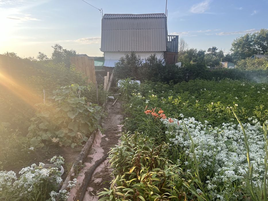 Продам дачу 6 общ 17 дачи