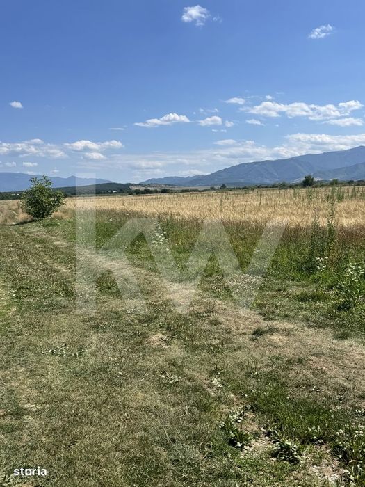 Teren 720 mp Sevis | 23 m front | Oportunitate investitie 24.480€