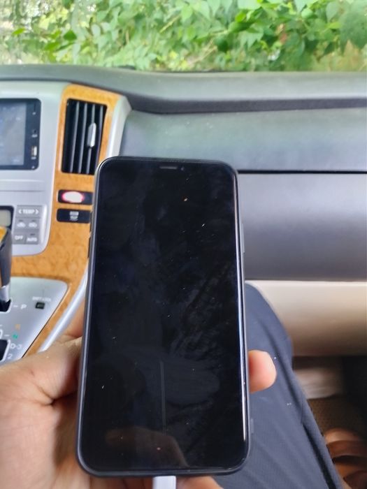 Iphone X 256 GB 100%