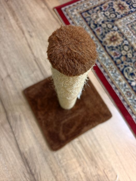 Ansamblu de joaca pisici