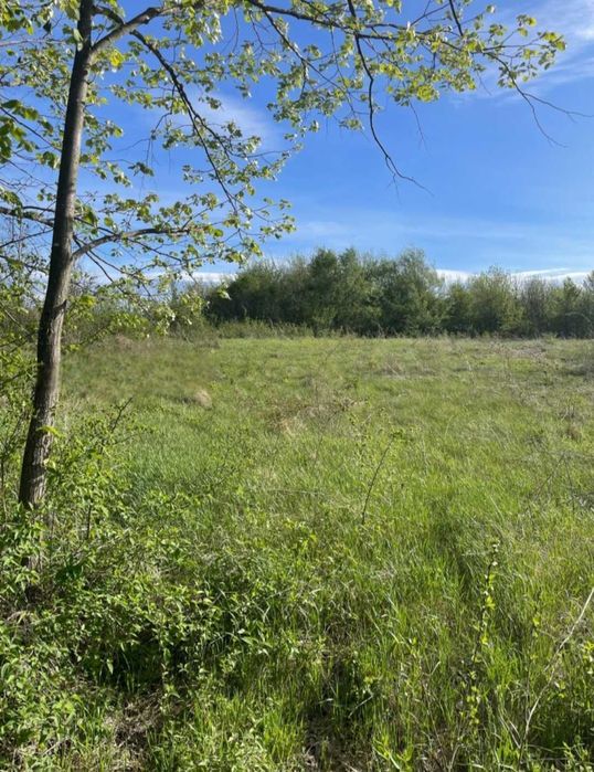 Продава се Парцел в с. Велчево, Област Велико Търново - 1100 кв.м за 18 €/кв.м - Снимка #2