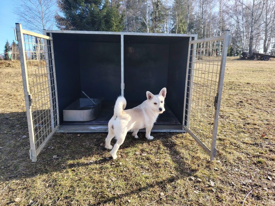 Cusca metalica dubla pentru caini