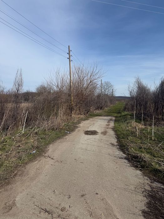 Продава се Парцел в с. Недан, Област Велико Търново - 4200 кв.м за 6 €/кв.м - Снимка #2