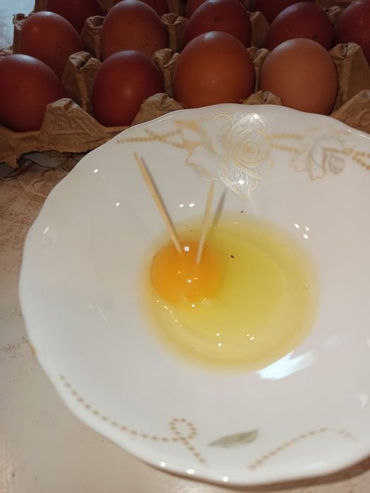 Яйца Домашние ! ! !