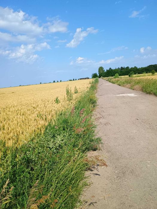 Proprietar!Vand 5000 mp teren extravilan in Valea Ursului