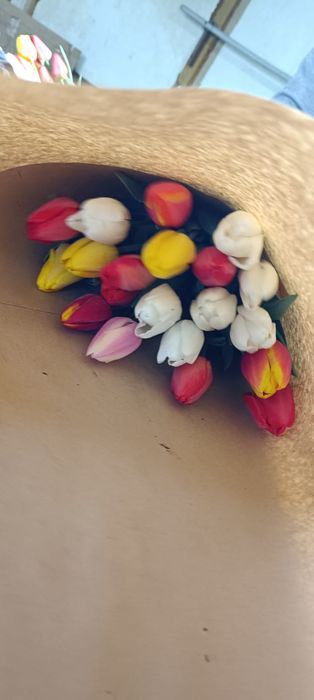 Тюльпаны оптом и в розницу
