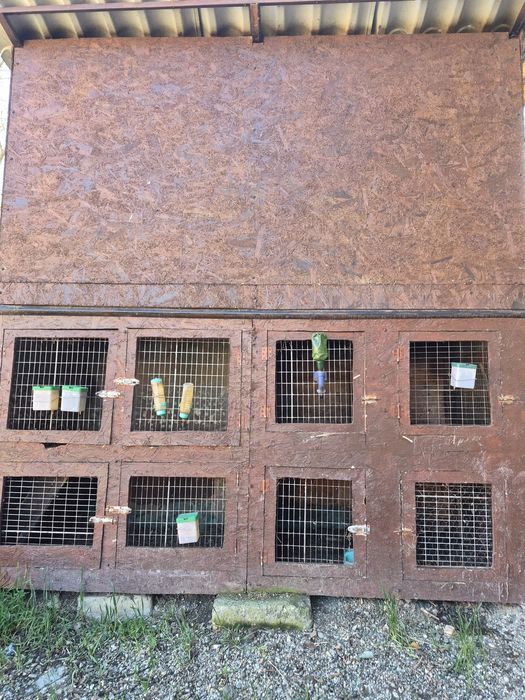 Vând cușcă animale