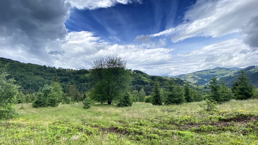 Vând teren extravilan 30.000 mp (3 ha)- Gârda de Sus, Alba