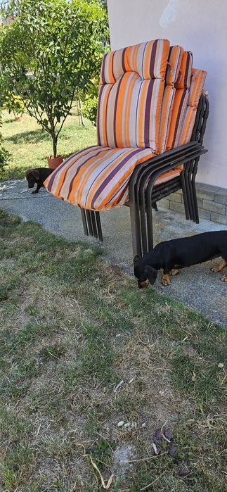 4 scaune de terasa cu periniile