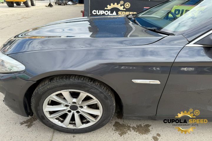 Aripa fata stanga culoare SOPHISTOGRAU BRILLANTEFFEKT METALLI (A90) B