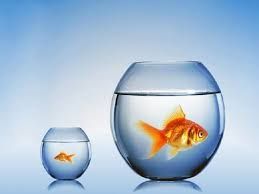 Аквариум подарок-круглый. р-н ул.Навои-Торайгырова