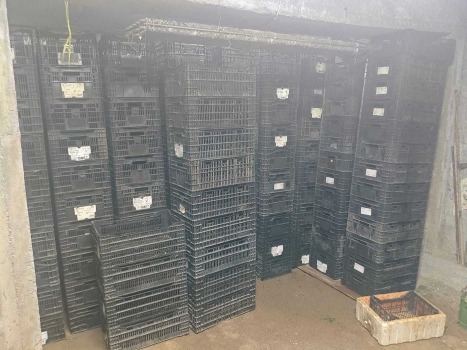 Пластиковые ящики