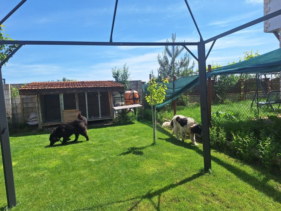 Продава се Къща в с. Садово, Област Варна - 80 кв.м за 542 €/кв.м - Снимка #2