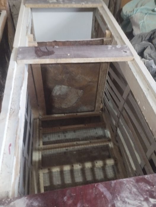 Quyonlar va qafaslari sotiladi