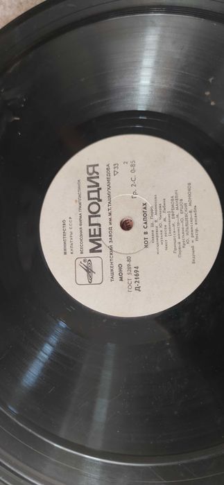 Виниловые пластинки