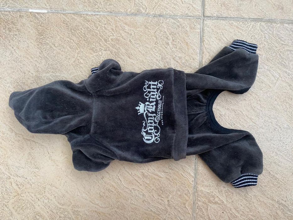 Одежда для мелких пород собаки