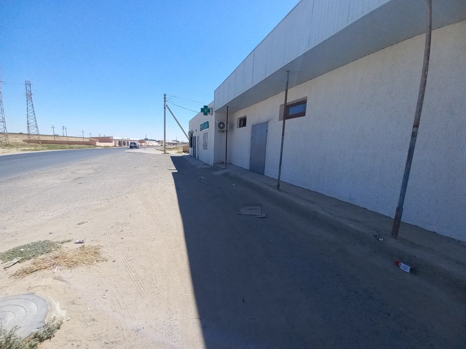 Теңге жолдың боиында