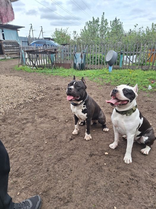 Кабель на вяску возрас два года