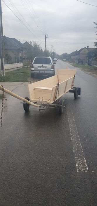 De vanzare ponei si caruta