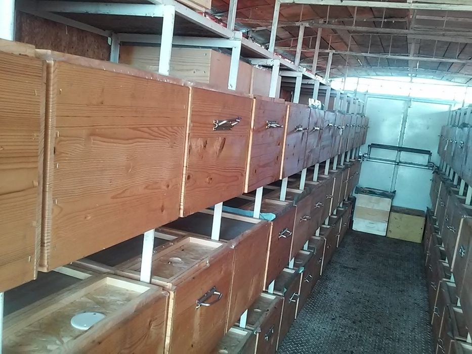 Vând pavilion apicol