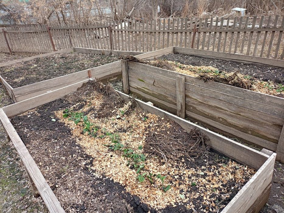 Дача на берегу Ишима