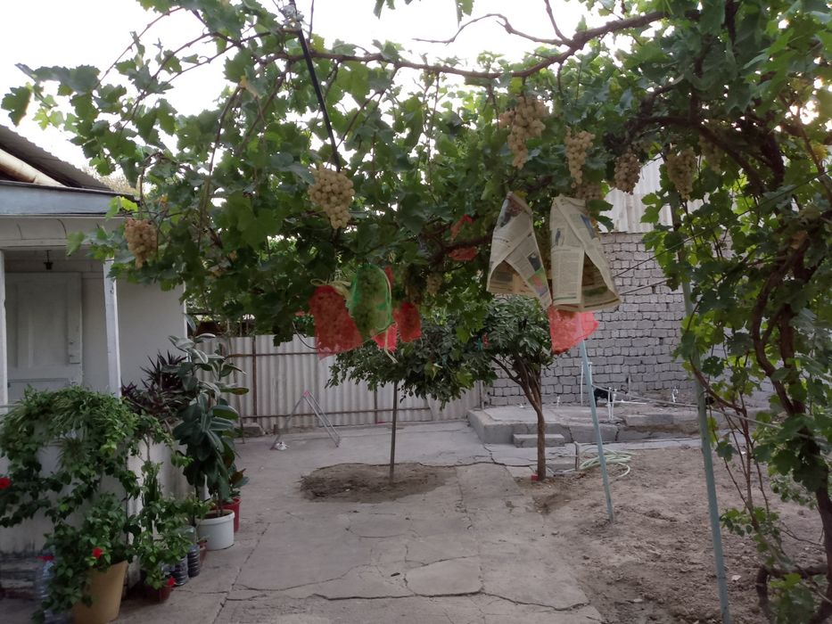 Фаргона йули 3,5 сот.5 хона