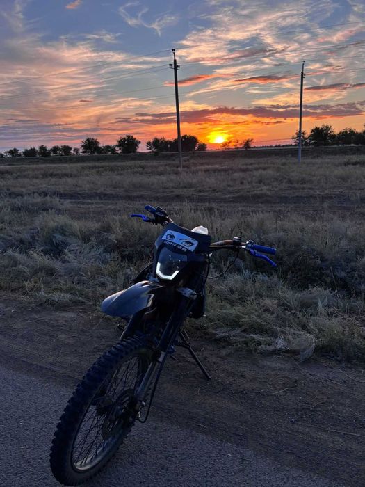 Прогаси пальма 250