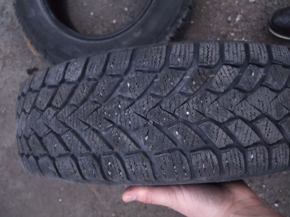 Шины зима один сезона катал