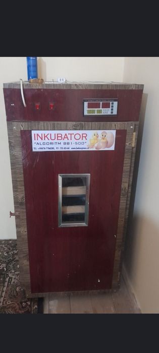 Инкубатор сотилади 500 талик гарантияси билан!