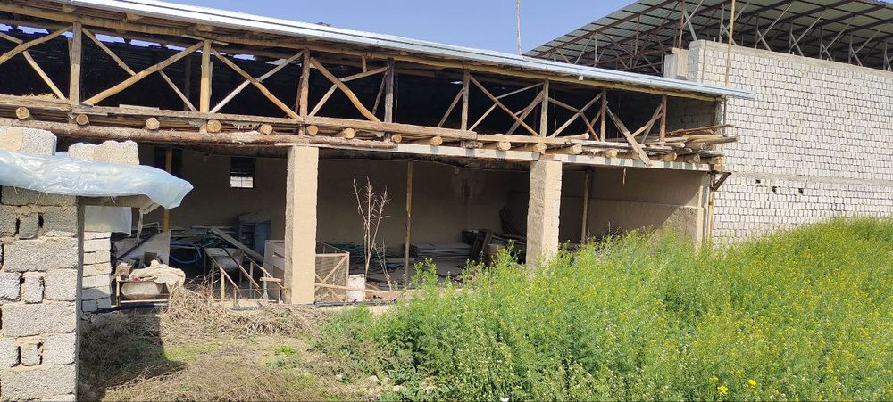 Арендага памишения Зангиота Райсентр ШОЙИМкупри