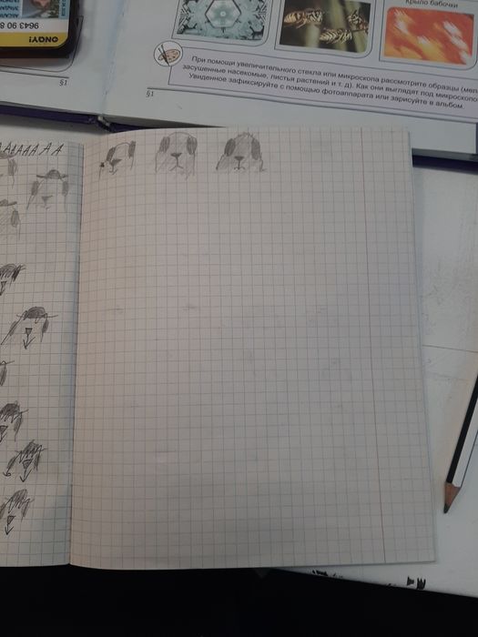 Тетрадка с Мишами торг уместен