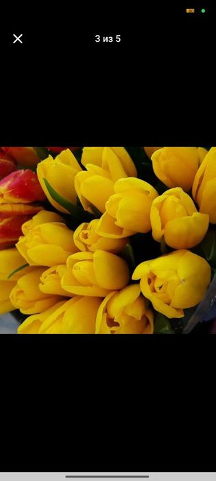 Заказы на цветы тюльпаны