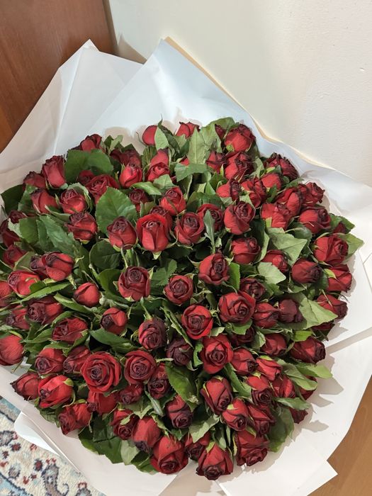 цветы красные розы 101