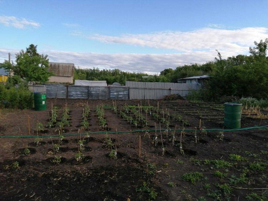 Продам ДАЧУ в дачном сообществе ДРУЖБА