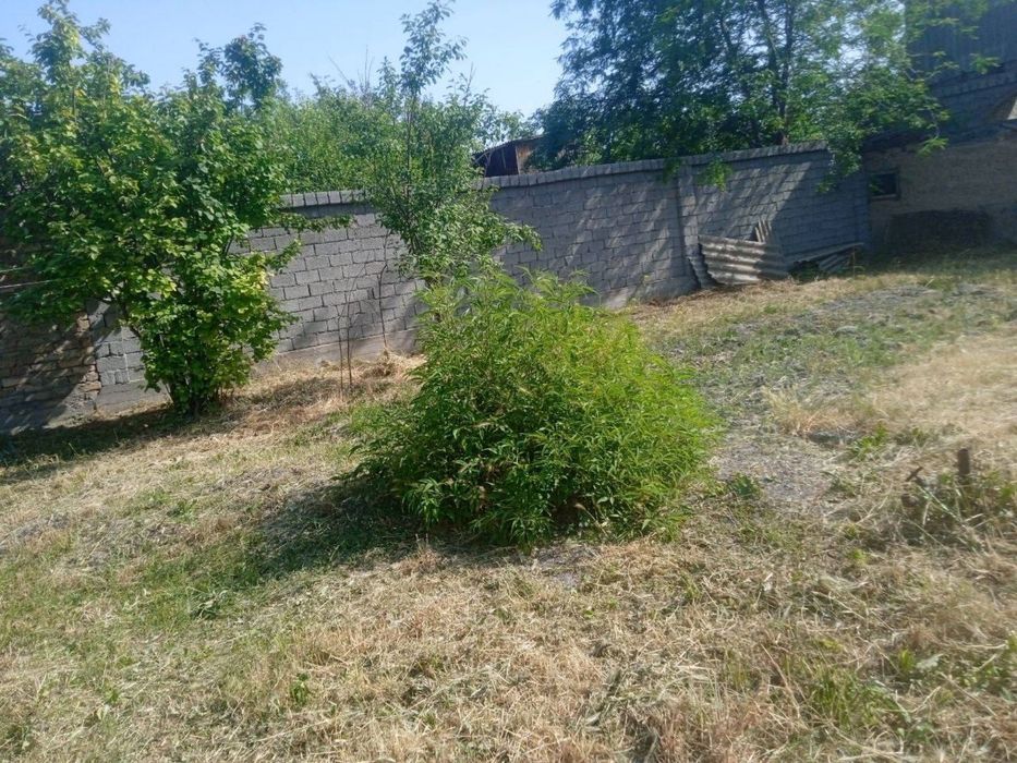 Занги отада дала ховли сотилади