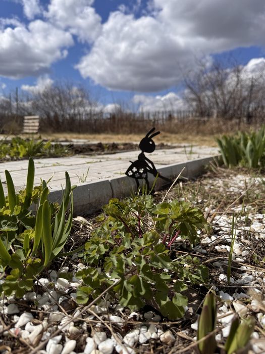 Продам дачу в СО ДАРХАН