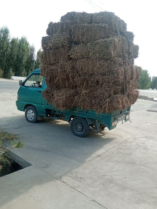 Labo koreyiski yili 2000