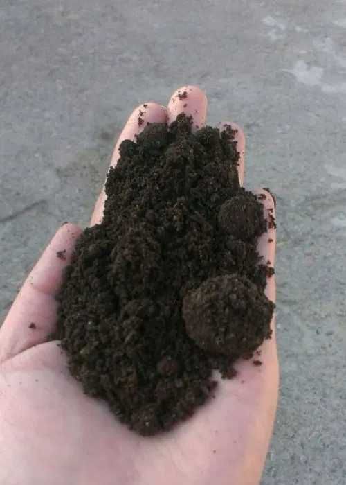 Биогомус  Биогумус - универсальное  органическое удобрение