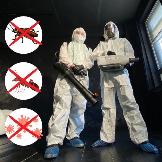 уничтожение насекомых