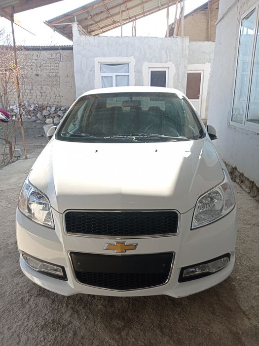 Nexia 2022 exprt variant