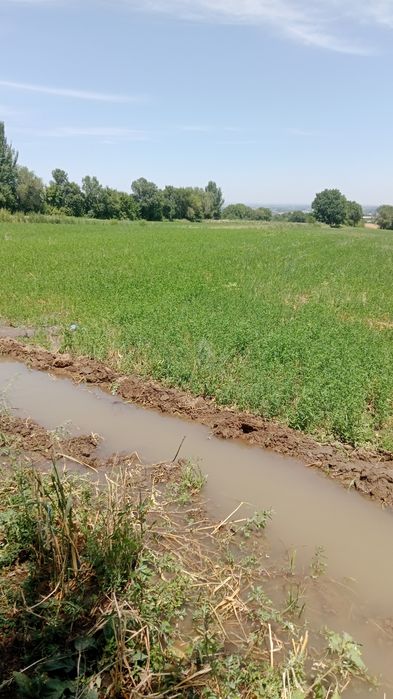 Сдам в аренду 2.8 га