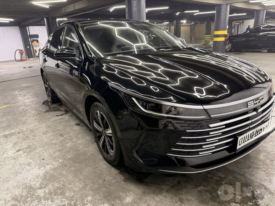 Byd chazor 2024