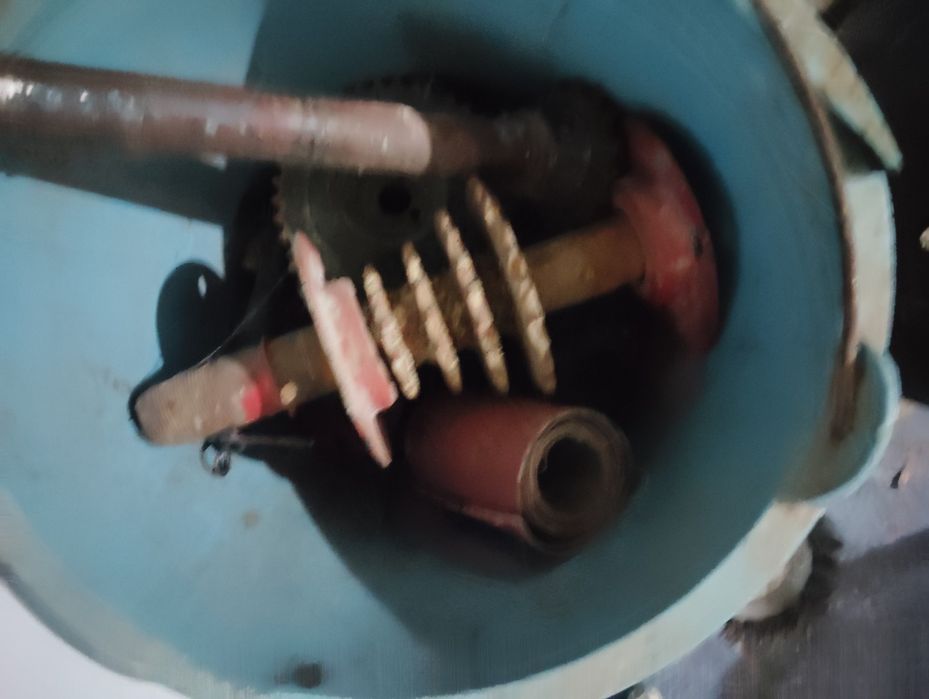 Daichi selka zabchastka