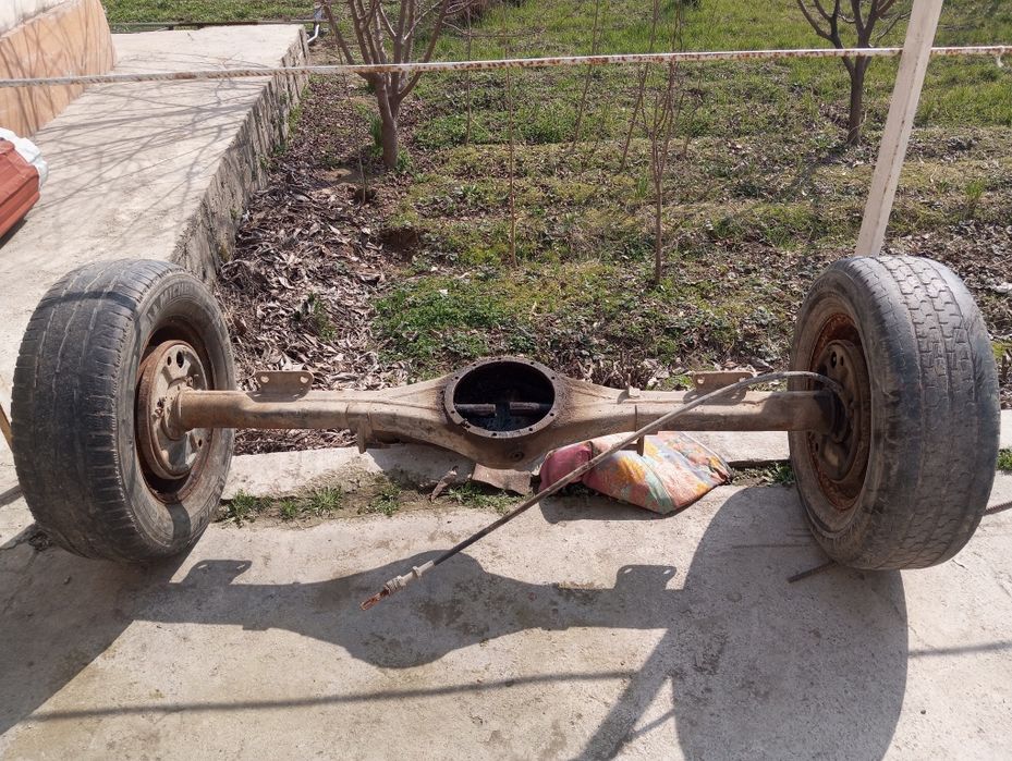 Соболь задниймость собл Sobol zadnimost sobl