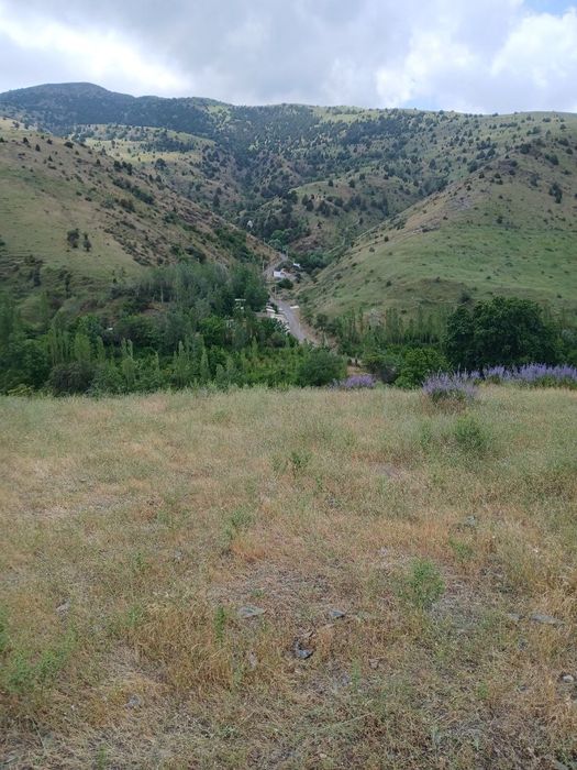 Ochiq er maydoni sotilmoqda