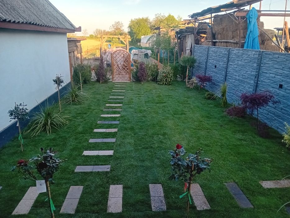 Plante irigatii gazon