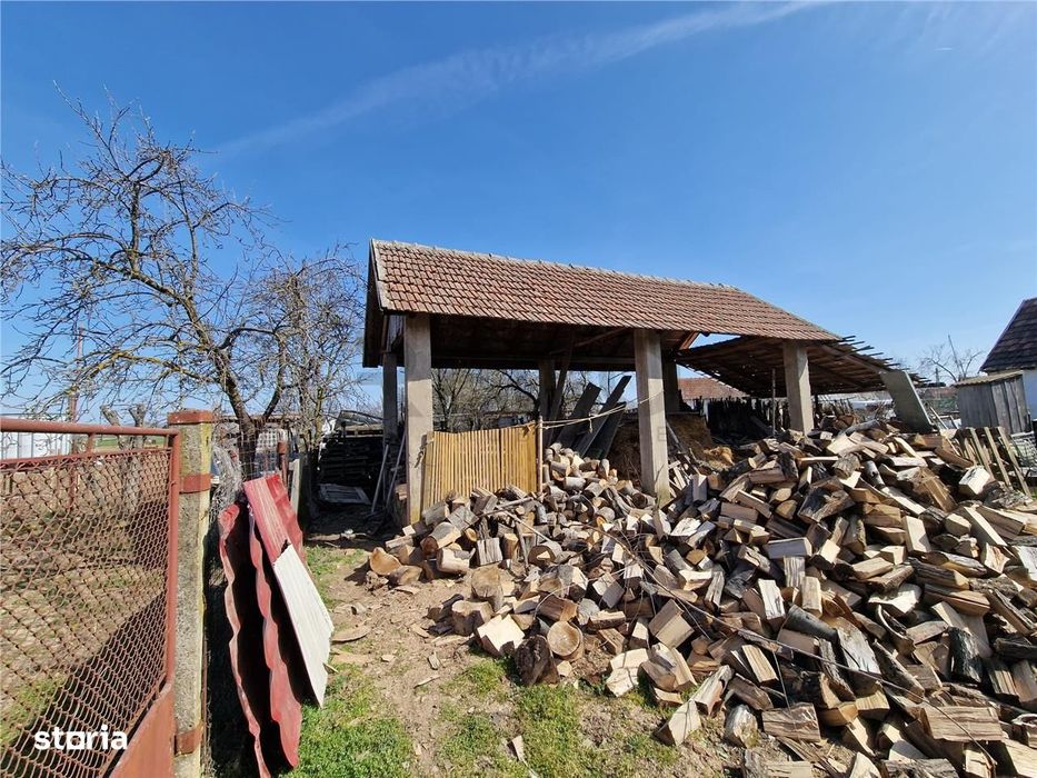 Teren mare cu 2 case in Sabolciu, com. Sacadat