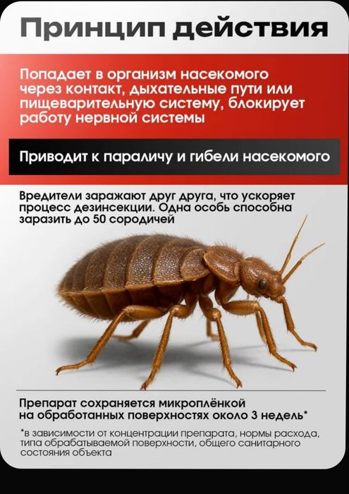 Средство ОТ КЛОПОВ